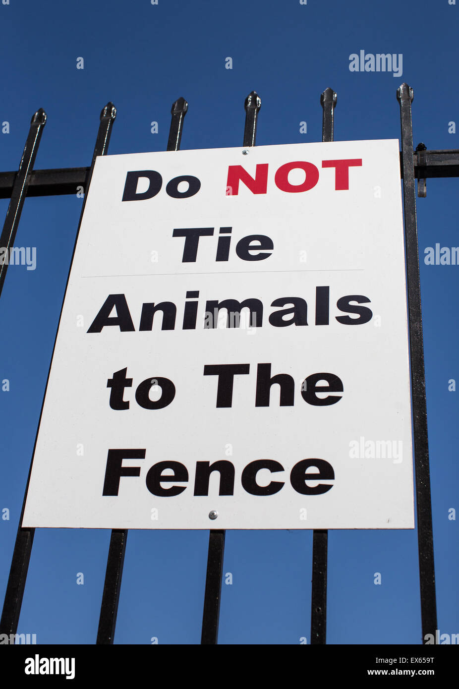Melde nicht Tie Tiere an den Zaun. Stockfoto