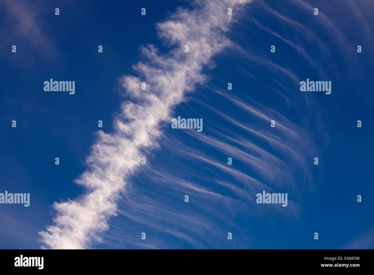 Europa, Niederlande, eine Kondensation Trail trieb durch den Wind über den Strand von Domburg auf der Halbinsel Walcheren. Stockfoto