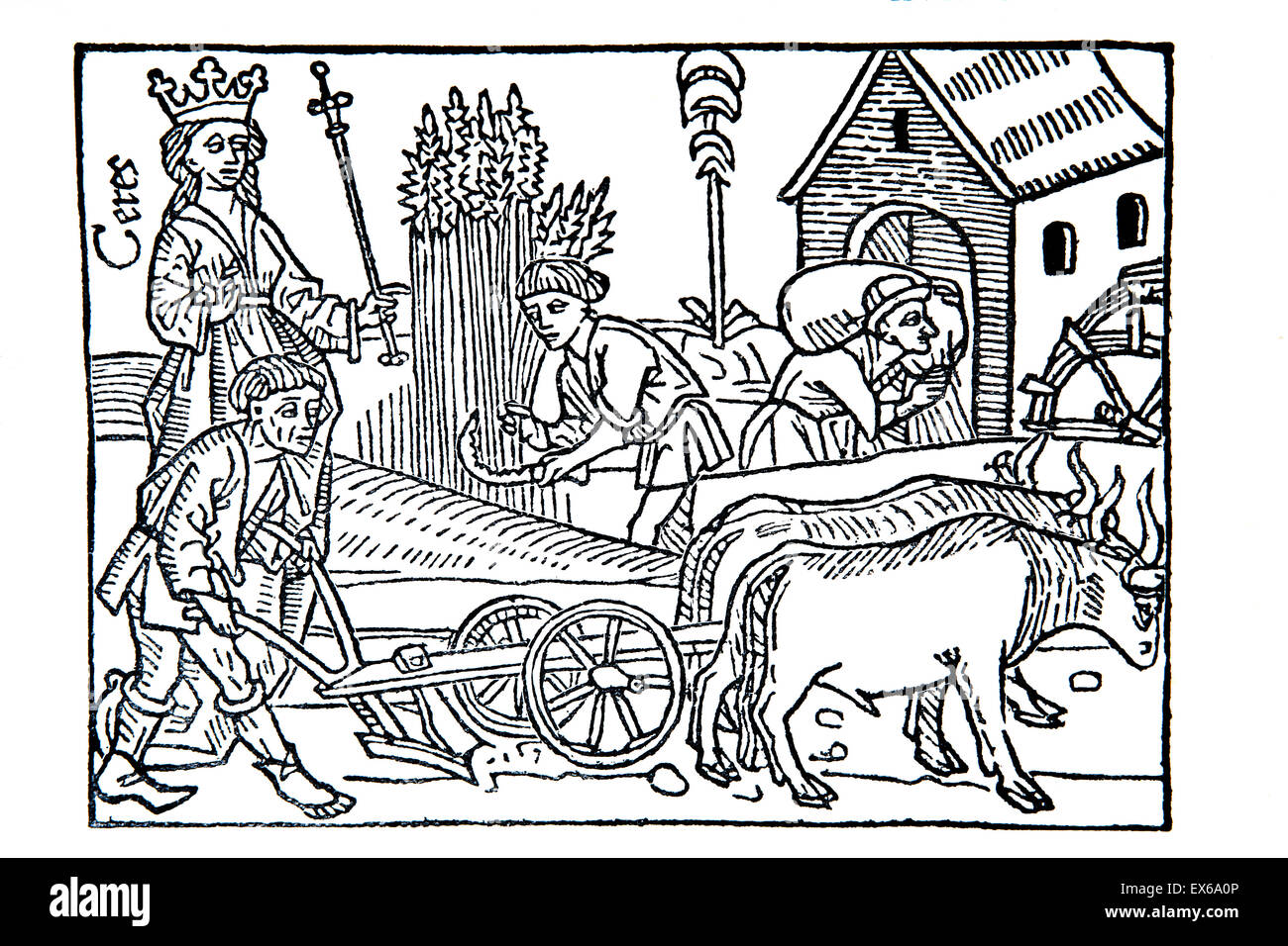 mittelalterliche Ernte Szene, Holzschnitt aus Boccaccios de Claris Mulieribus (auf berühmten Frauen), veröffentlicht in Ulm 1473 Stockfoto