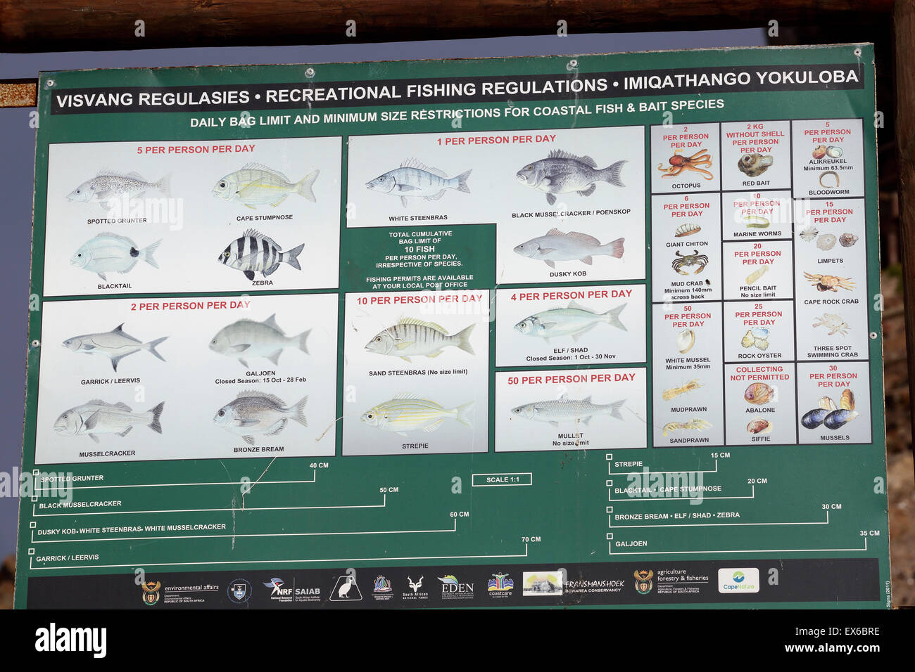 Information der Öffentlichkeit Schild mit Sportfischerei Vorschriften und tägliche Quoten in Mossel Bay, Südafrika Stockfoto