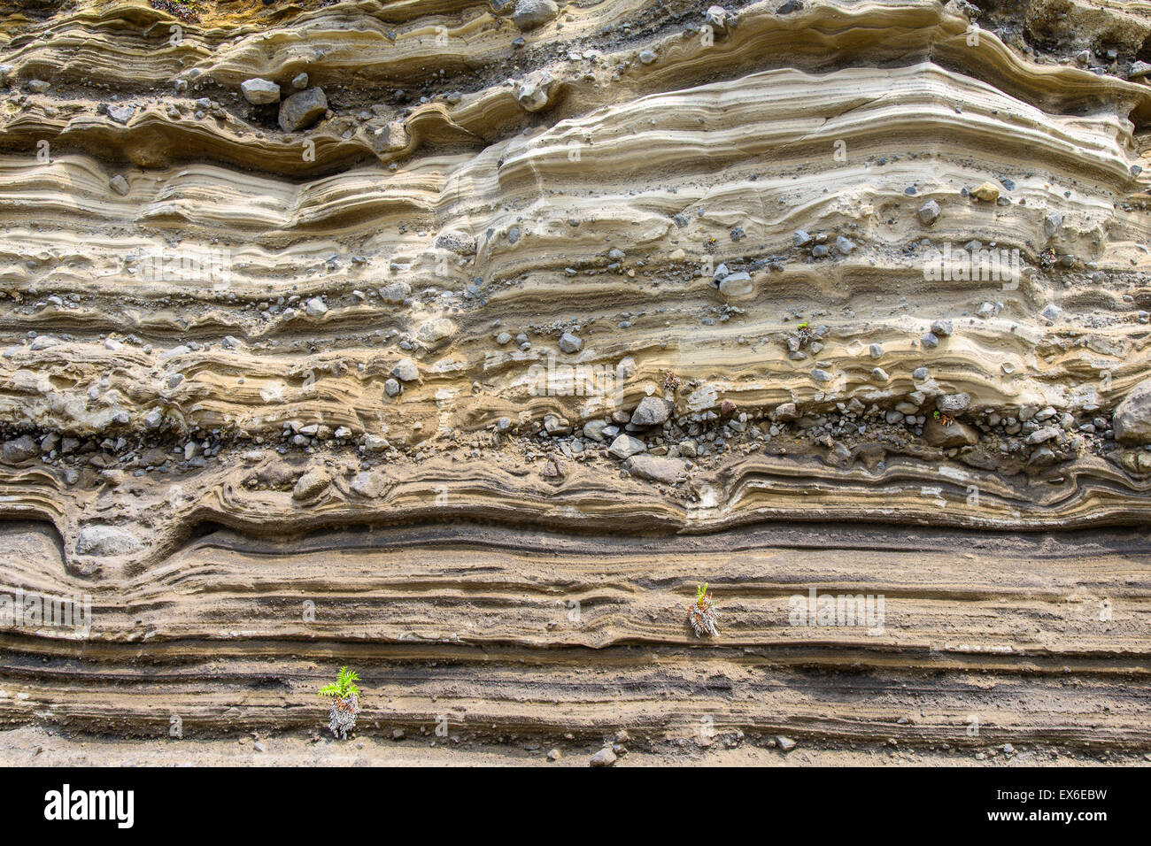 Sedimentgestein (pyroklastischen Ablagerung) bei Suwolbong, UNESCO Global Geopark, Insel Jeju, Korea. Stockfoto