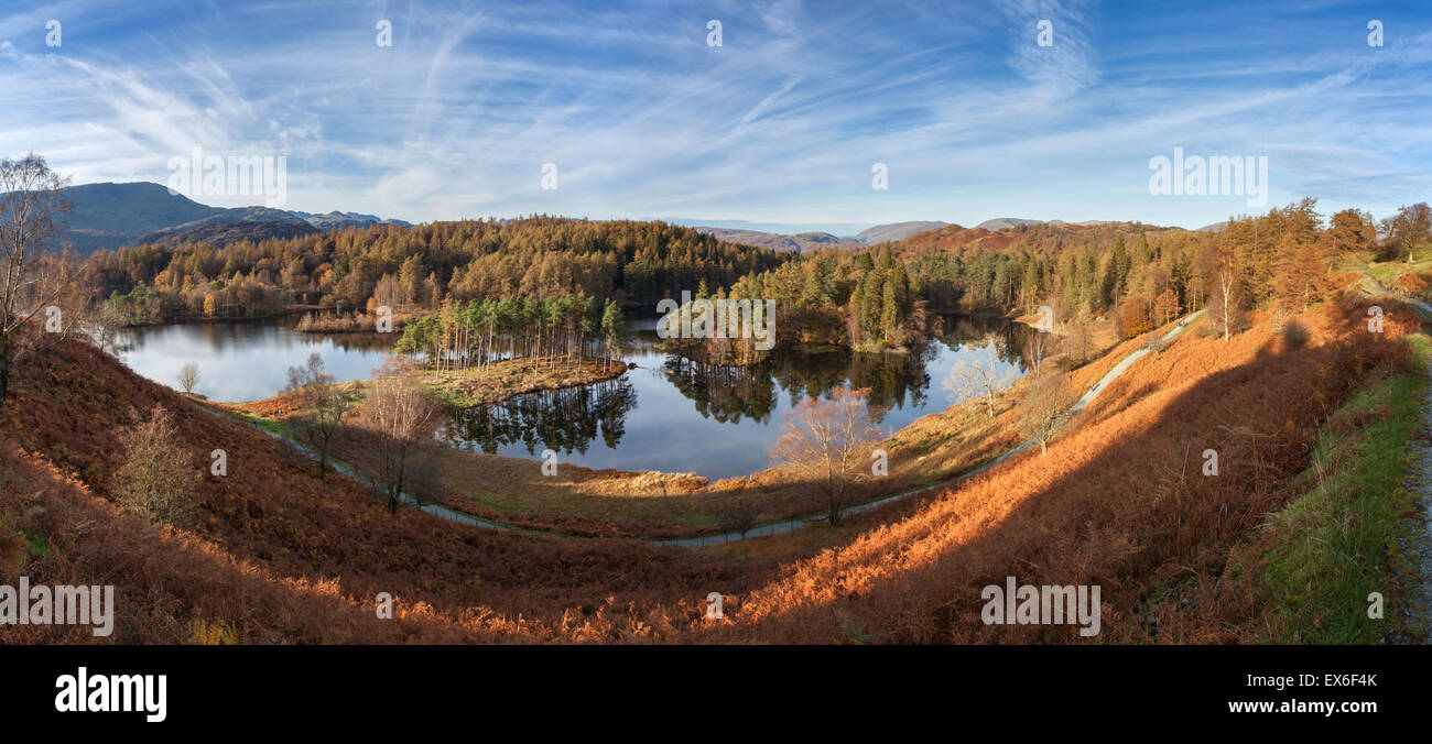 Tarn Hows Herbst Panorama Seenplatte UK Stockfoto