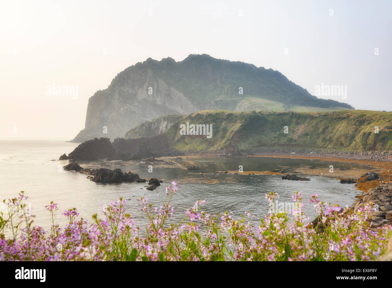 Landschaft der Seongsan Ilchulbong, Blick vom Olle Trail Nr. 1 am Morgen. Ilchulbong ist ein Vulkankegel befindet sich auf der östlichen Stockfoto