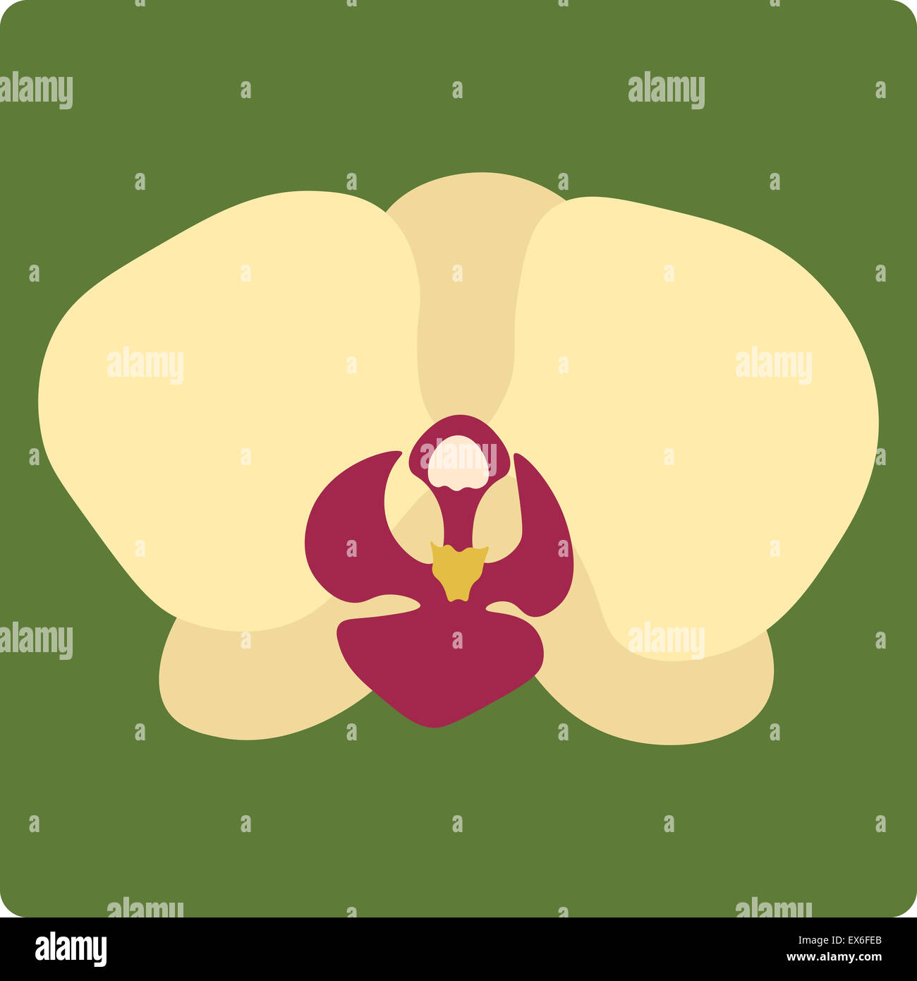 Illustration der Orchidee Blume auf grünem Hintergrund isoliert Stockfoto