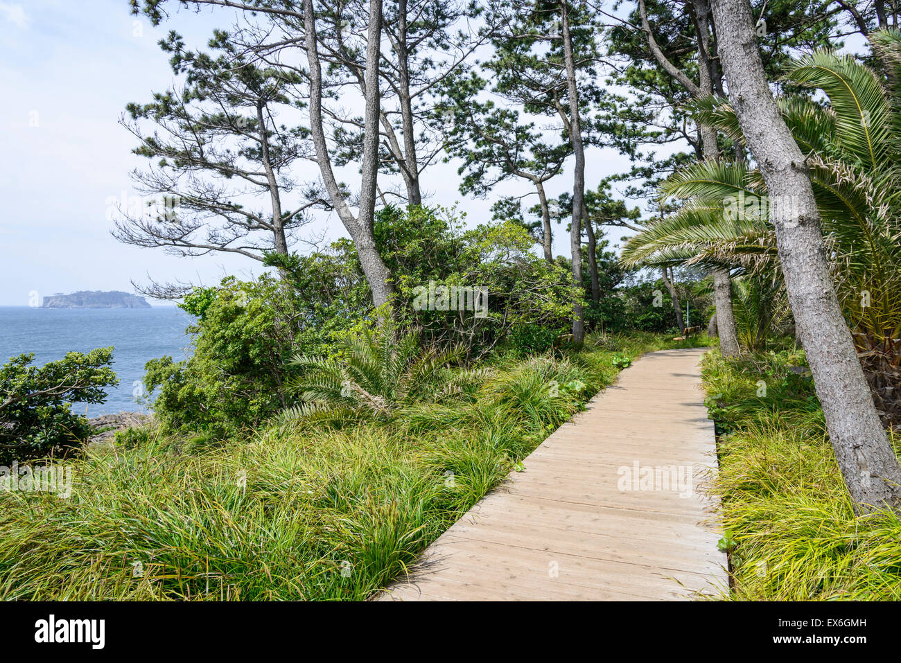 Blick auf Olle Trail Kurs Nr. 7 in Insel Jeju, Korea. Olle besticht durch trekking Kurse entlang der Küste von Jeju Insel erstellt. Stockfoto