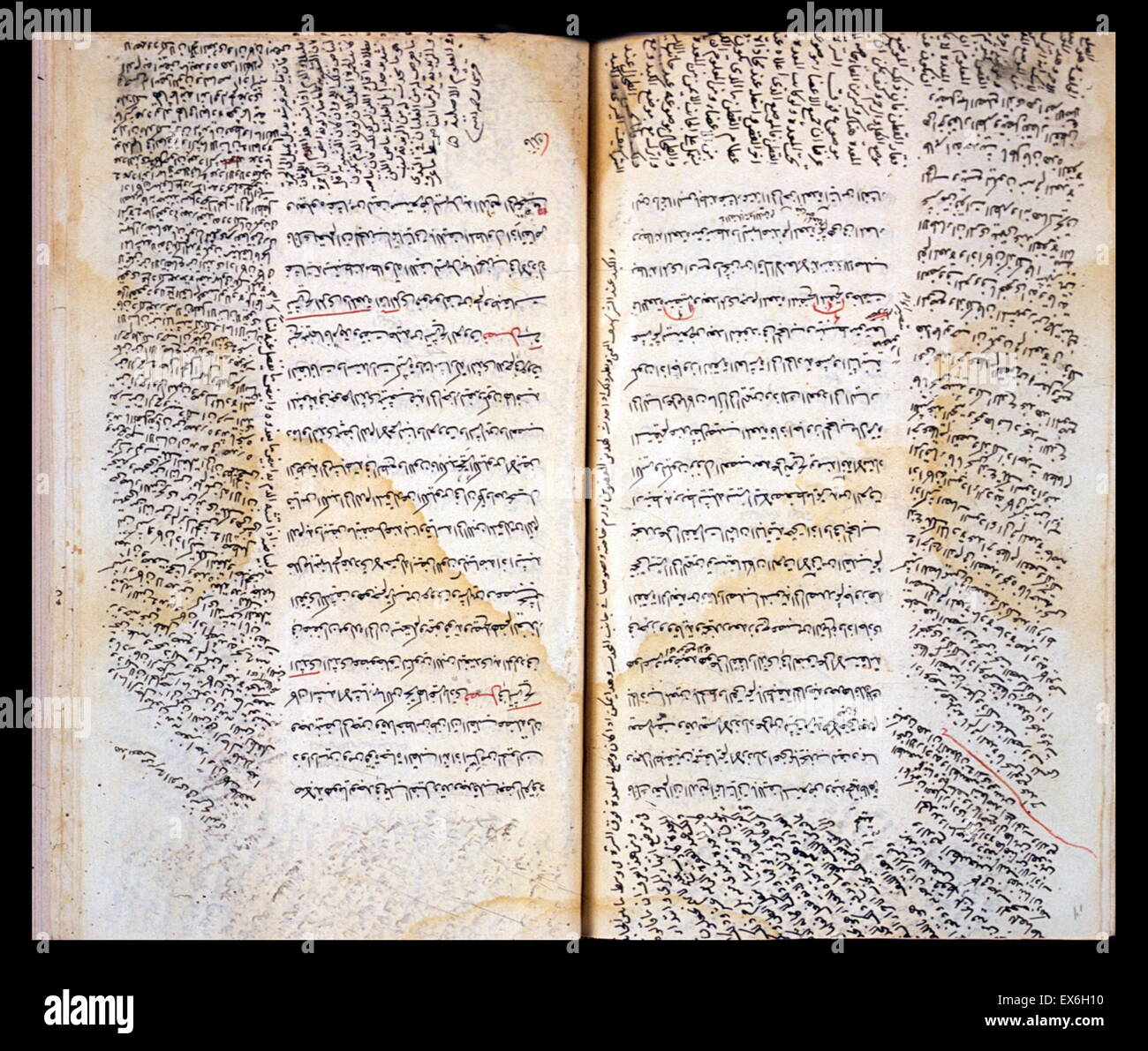 Der zentrale Text besteht aus den anatomischen Abschnitten der Kanon der Medizin von Ibn S? n? (Avicenna). Am Rande sind lange Zitate aus dem Kommentar über die Anatomie des Kanons, die von Ibn al-Naf geschrieben wurde? s (d. 1288/678 H) Stockfoto