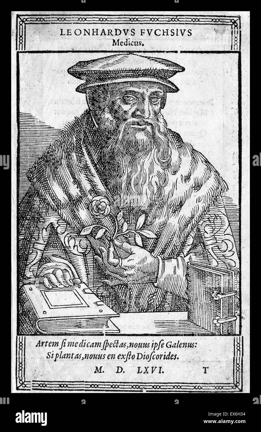 Fuchsius Fotos und Bildmaterial in hoher Auflösung Alamy