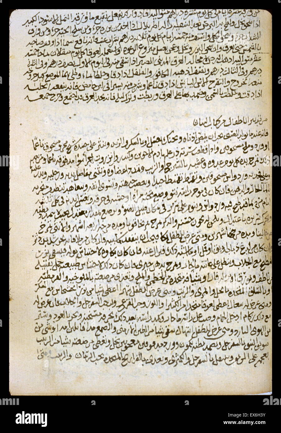 Beginn (in der 9. Zeile) des Essay über das Management von Säuglingen (Tadb? R al-a? f? l), wurde von Kit extrahiert? al-Bay b? n ("das Buch der Erklärung"). Weder der Compiler Namen noch das original Buch ist gegeben, aber die Verfahren sind presu Stockfoto