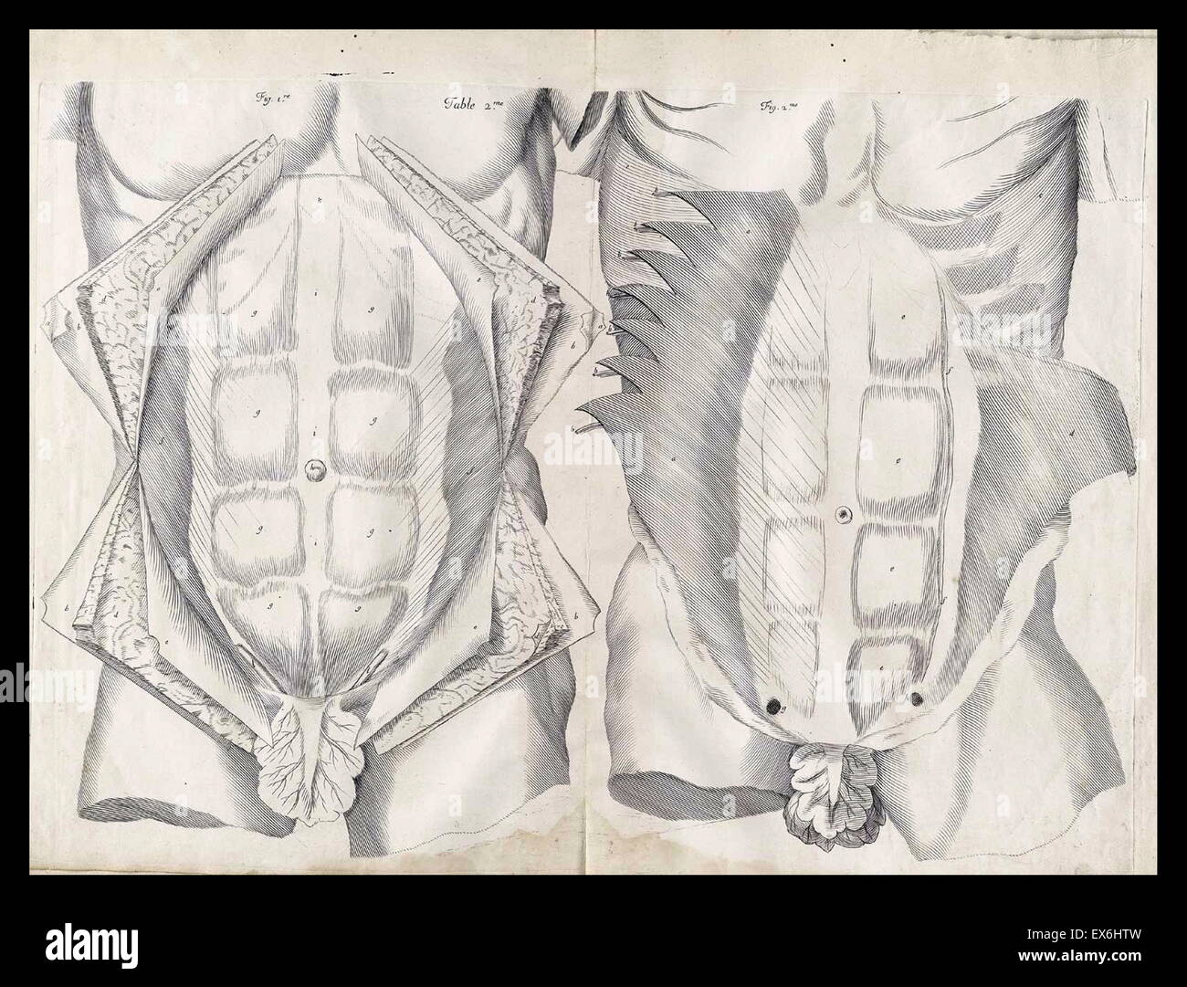 Anatomische Illustration von Amé Bourdon, von 'Tabellen Nouvelles Anatomiques'; Chambray: 1678. Stockfoto