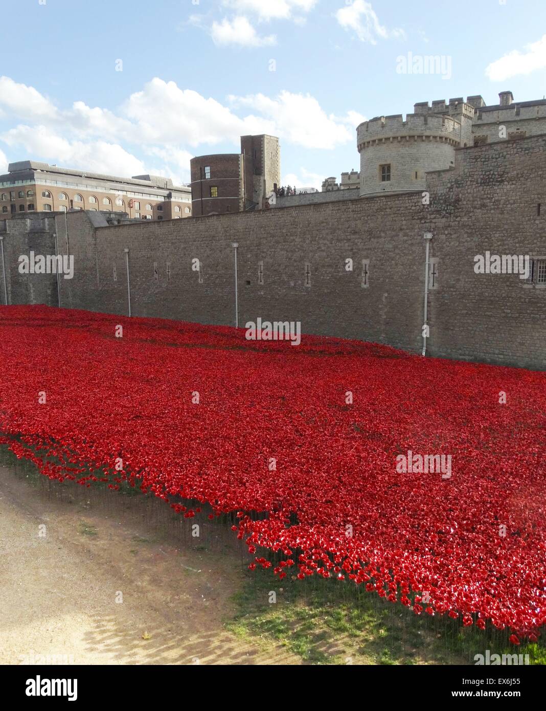 Kunst-Installation mit dem Titel "Blut Mehrfrequenzdarstellung Länder und Meere of Red". Der trockene Graben war mit 800.000 Keramik Mohnblumen zum Gedenken an den ersten Weltkrieg Centenary gefüllt. Erstellt von Keramik-Künstler Paul Cummins und Theater Bühnenbildner Tom Piper. Stockfoto