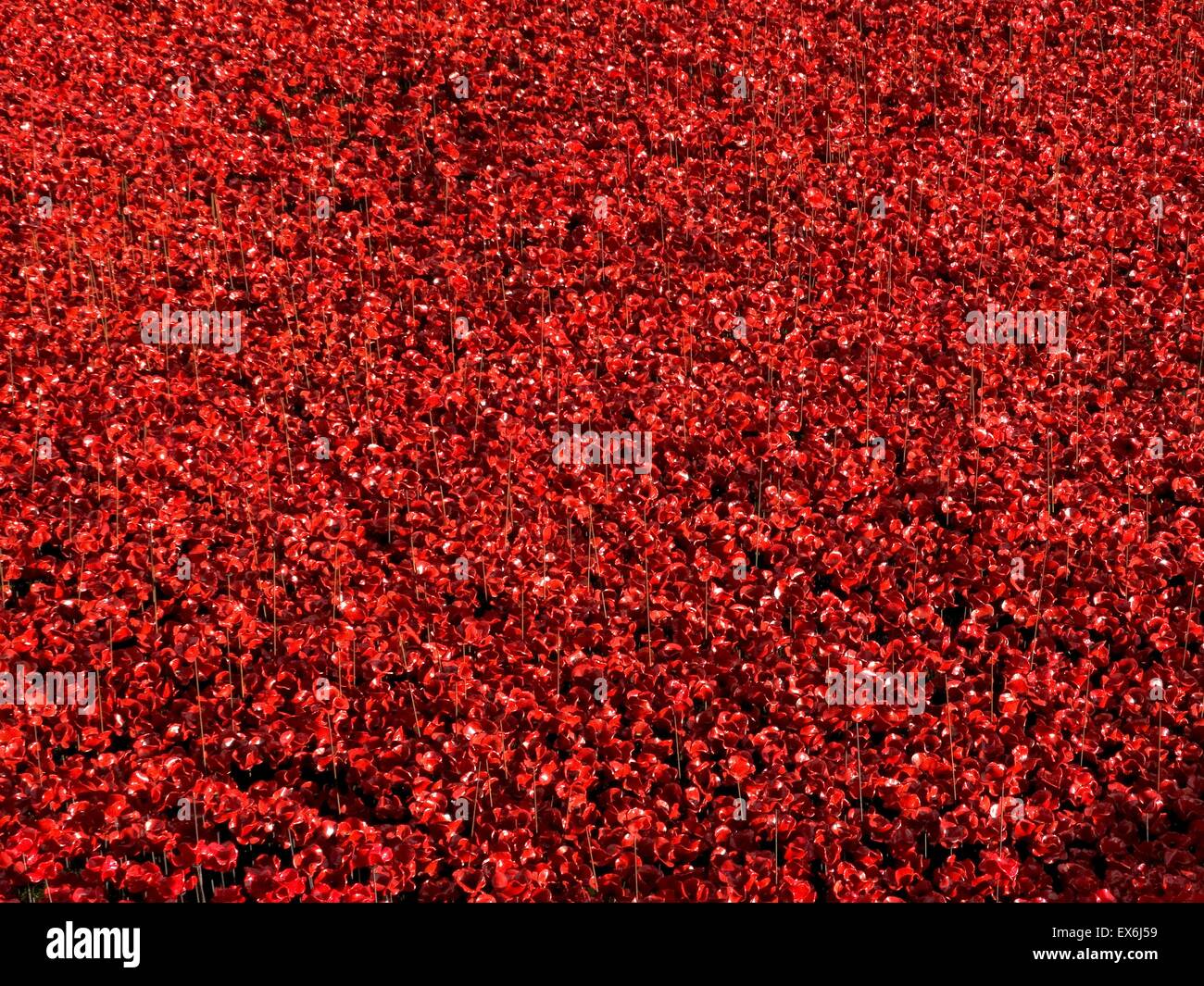 Kunst-Installation mit dem Titel "Blut Mehrfrequenzdarstellung Länder und Meere of Red". Der trockene Graben war mit 800.000 Keramik Mohnblumen zum Gedenken an den ersten Weltkrieg Centenary gefüllt. Erstellt von Keramik-Künstler Paul Cummins und Theater Bühnenbildner Tom Piper. Stockfoto