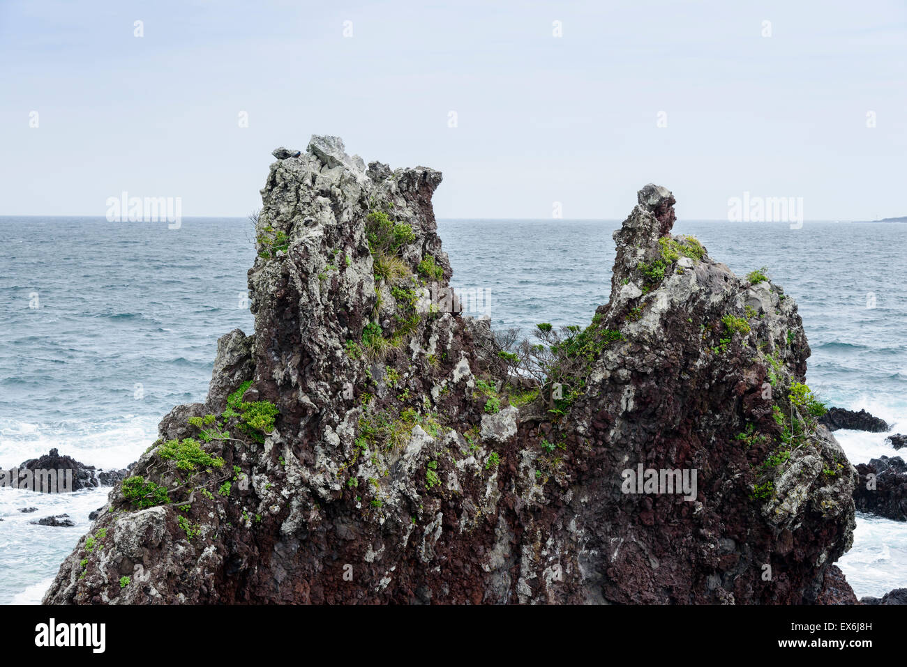 Vulkanische Felsen in der Nähe der Olle Kurs Nr. 6 in Insel Jeju, Korea. Stockfoto