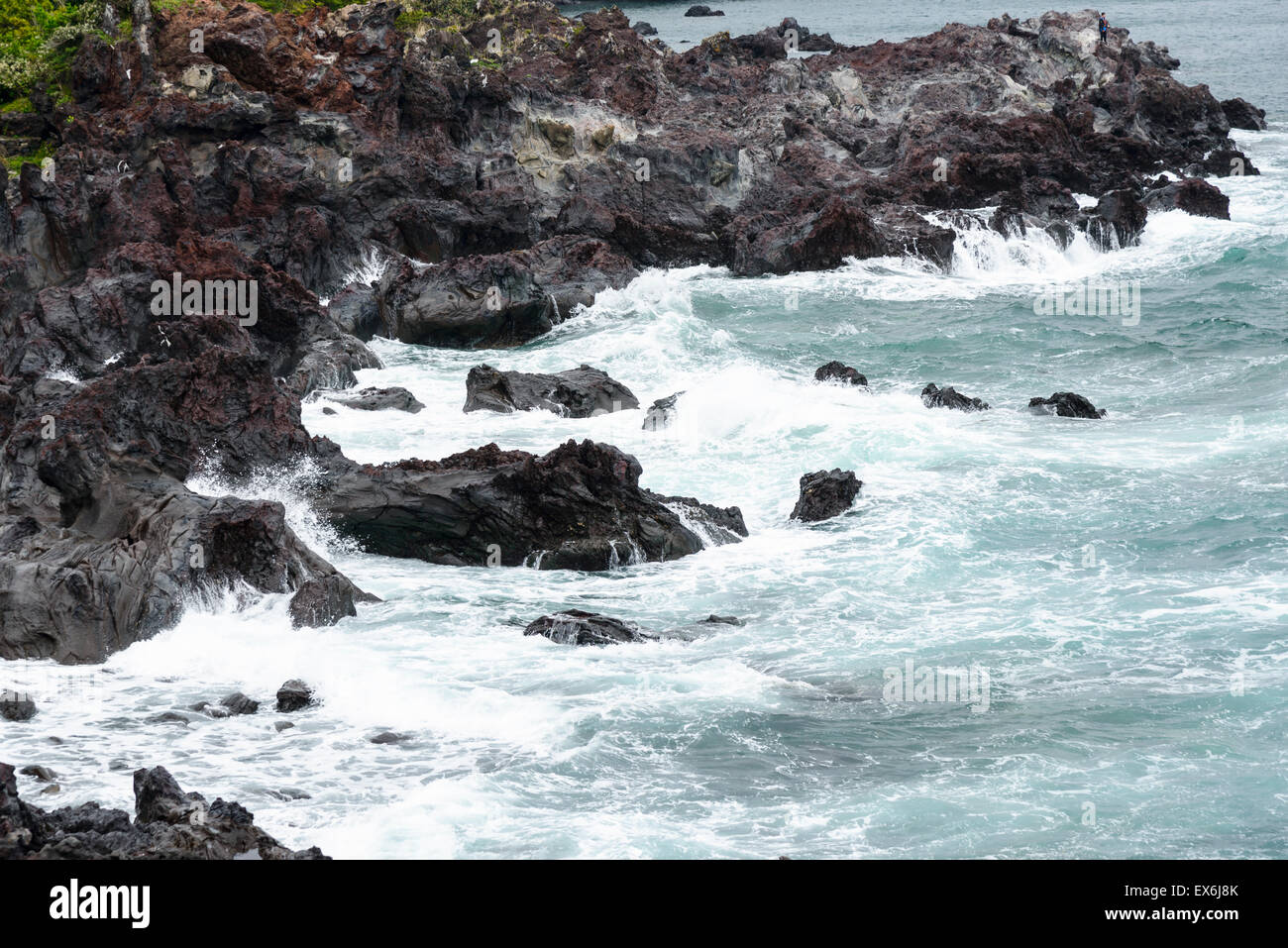 Vulkanische Felsen in der Nähe der Olle Kurs Nr. 6 in Insel Jeju, Korea. Stockfoto