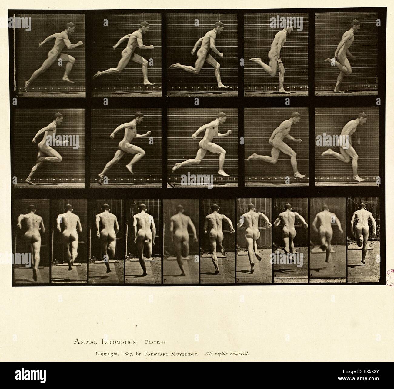 Sequenz-Fotografie von einem Mann ausgeführt, von Eadweard James Muybridge (1830 – 1904), englischen Fotografen wichtig für seine wegweisende Arbeiten in fotografischen Studien der Bewegung Stockfoto