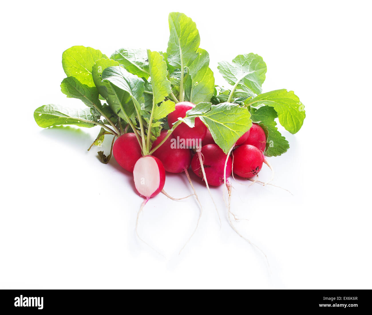 Radieschen auf weißem Hintergrund Stockfoto