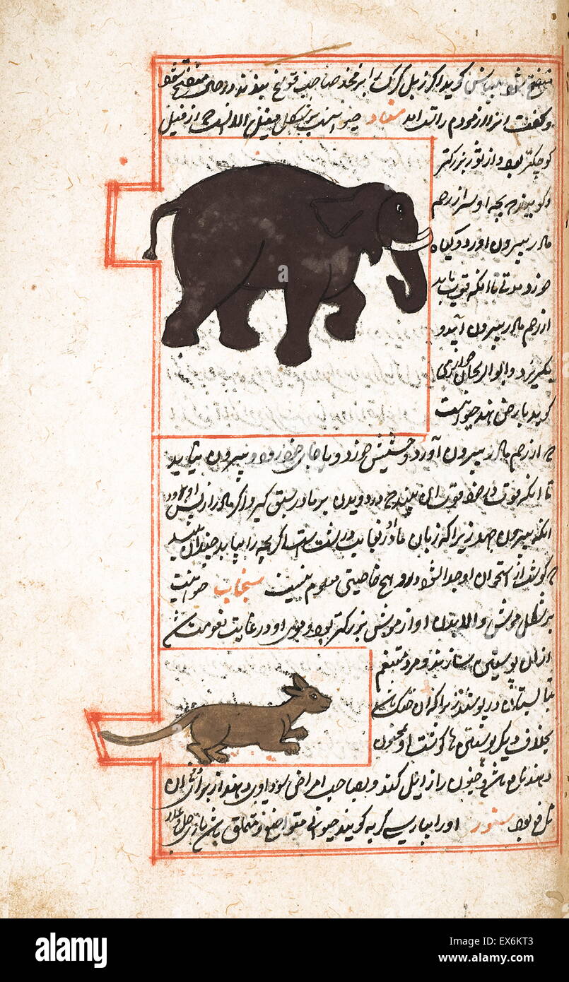 Abbildung Darstellung afrikanischer Elefant und kleine Säugetier, von 1538-Edition von "Kit? b-ich? Aj? y? b-al-Makhl? Q? t va Ghar?? IB al-Mawj? d? t ". (Wunderwerke erschaffen und wundersame Aspekte der Dinge bestehenden) ein 12. Jahrhundert, islamischen, persischen wissenschaftliche Buch Stockfoto