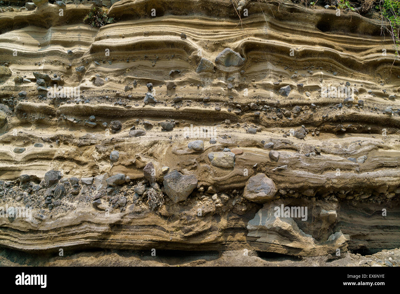 Sedimentgestein (pyroklastischen Ablagerung) bei Suwolbong, UNESCO Global Geopark, Insel Jeju, Korea. Stockfoto