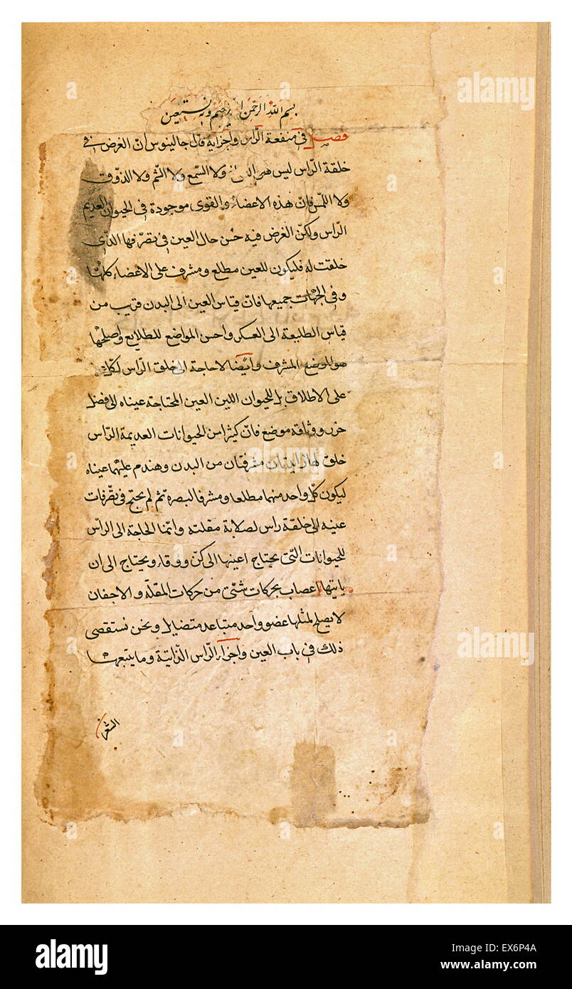 Hunayn Ibn Ishaq (808 – 873), Corpus Hippocraticum, Prognose. Dieser lateinische Übersetzung einer hippokratischen Abhandlung wurde ursprünglich von Hunayn Ibn Ishaq direkt aus dem griechischen ins Arabische übersetzt. Stockfoto