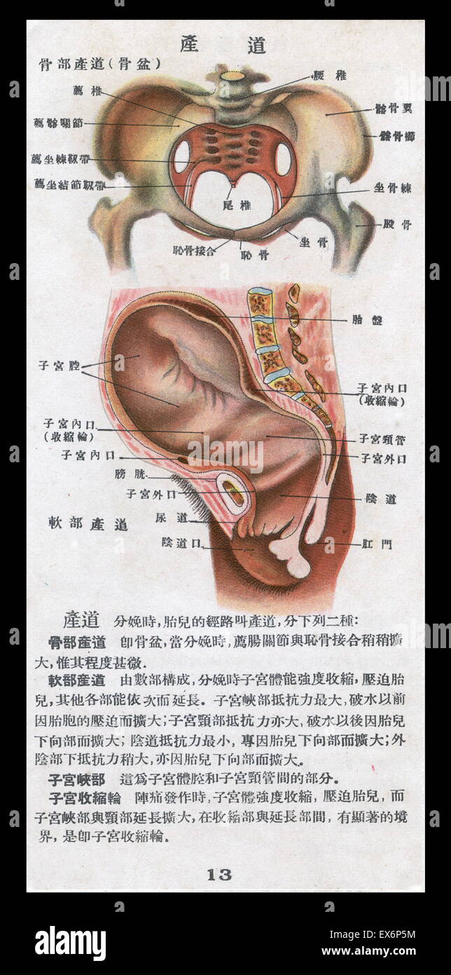 Chinesische illustriert Schwangerschaft Handbuch in China 1940 veröffentlicht. Stockfoto