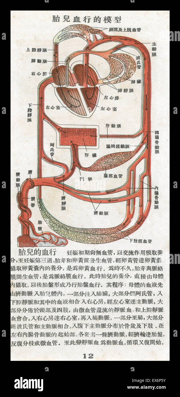 Chinesische illustriert Schwangerschaft Handbuch in China 1940 veröffentlicht. Stockfoto