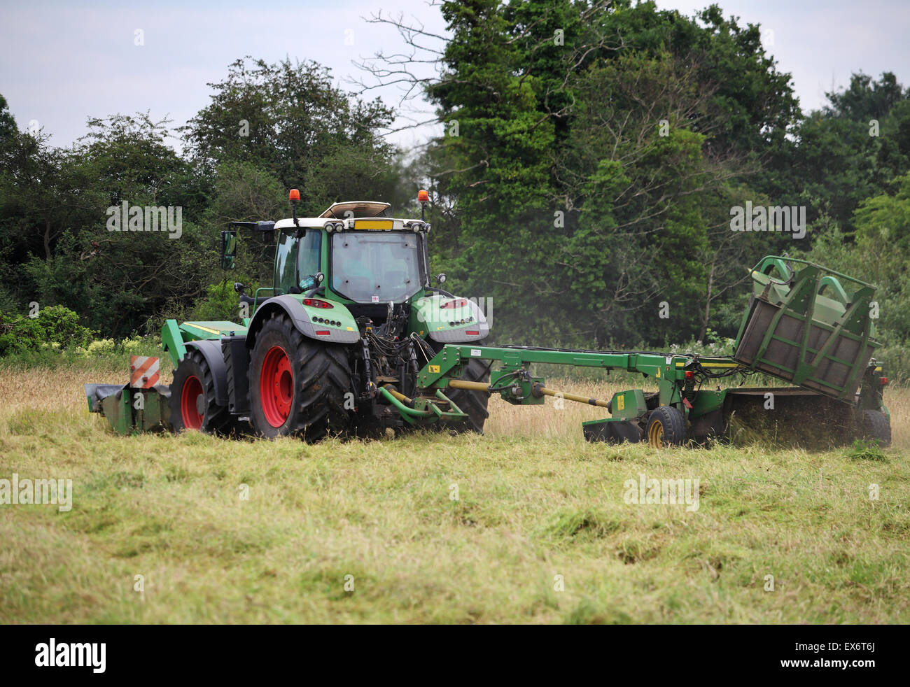 Traktor mit Rasen mähen Rasen in einem Feld Stockfoto