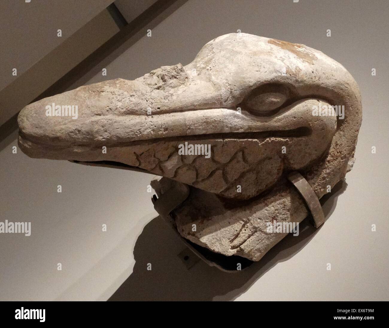 Maya-Stuck Pelican Kopf aus dem Palast Comalcalco, Tabasco, Mexiko. Mexiko (600-900 n. Chr.). In der Maya-Kosmologie ist Terra komplett vom Meer umgeben. Die Seevögel wurden auch als Vermittler zwischen den verschiedenen Teilen der univers Stockfoto