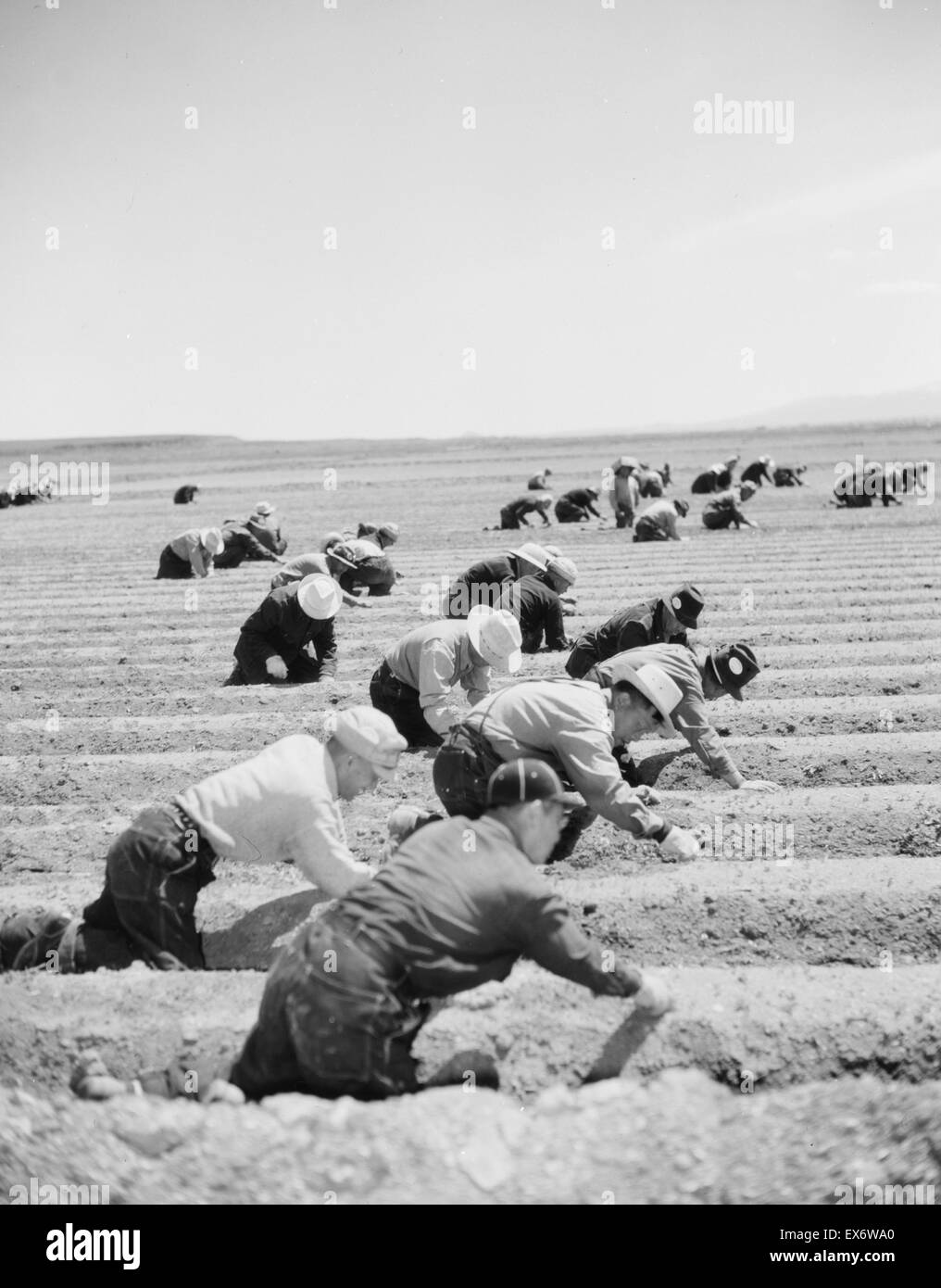 Japanisch-amerikanischen camp, Krieg Notevakuierung, Tule See Relocation Center, Newell, Kalifornien. 1943 Stockfoto