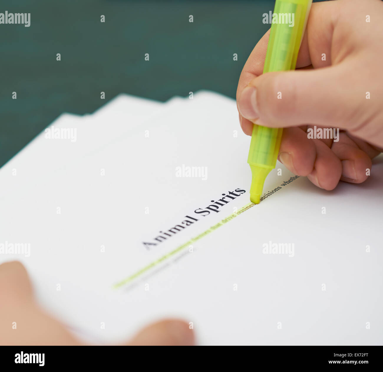 Markieren Wörter in einer Tiergeister definition Stockfoto