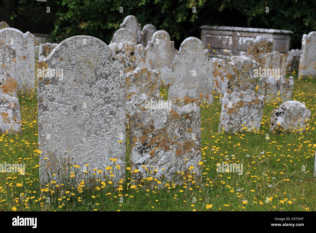 Christchurch Priory Friedhof, Dorset, England Stockfoto