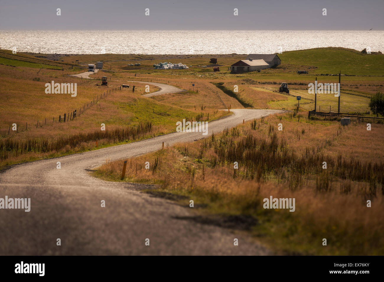 Landstraße und Bauernhof im Herbst, South Coast, Island Stockfoto