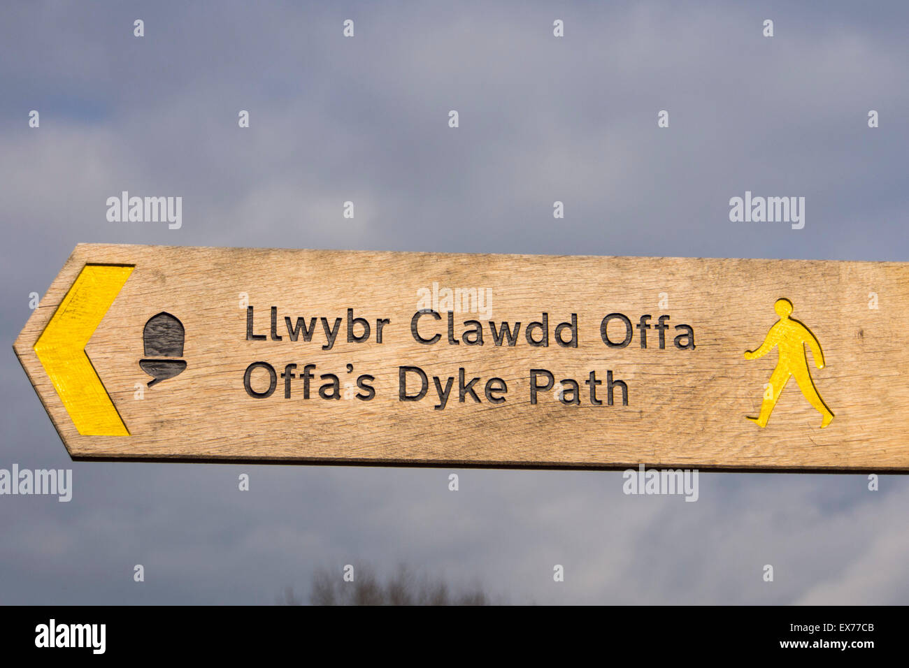 Ein Fußweg melden für die Offa Dyke Langstrecken Wanderweg, in der Nähe von Newchurch, Powys, Wales. Stockfoto