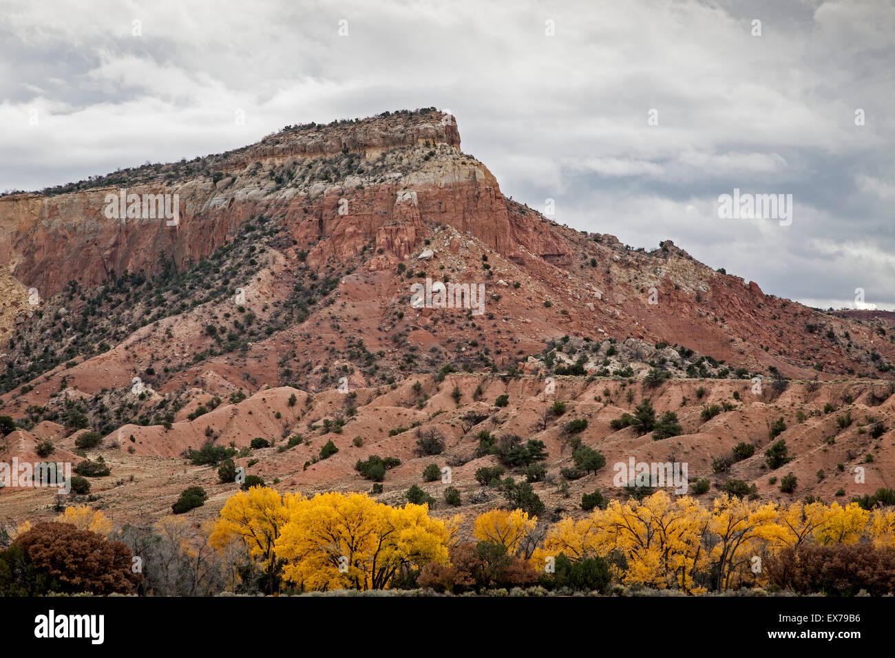 Red bluff und gelbe Pappeln im Herbst, Geist-Ranch, New-Mexico-USA Stockfoto