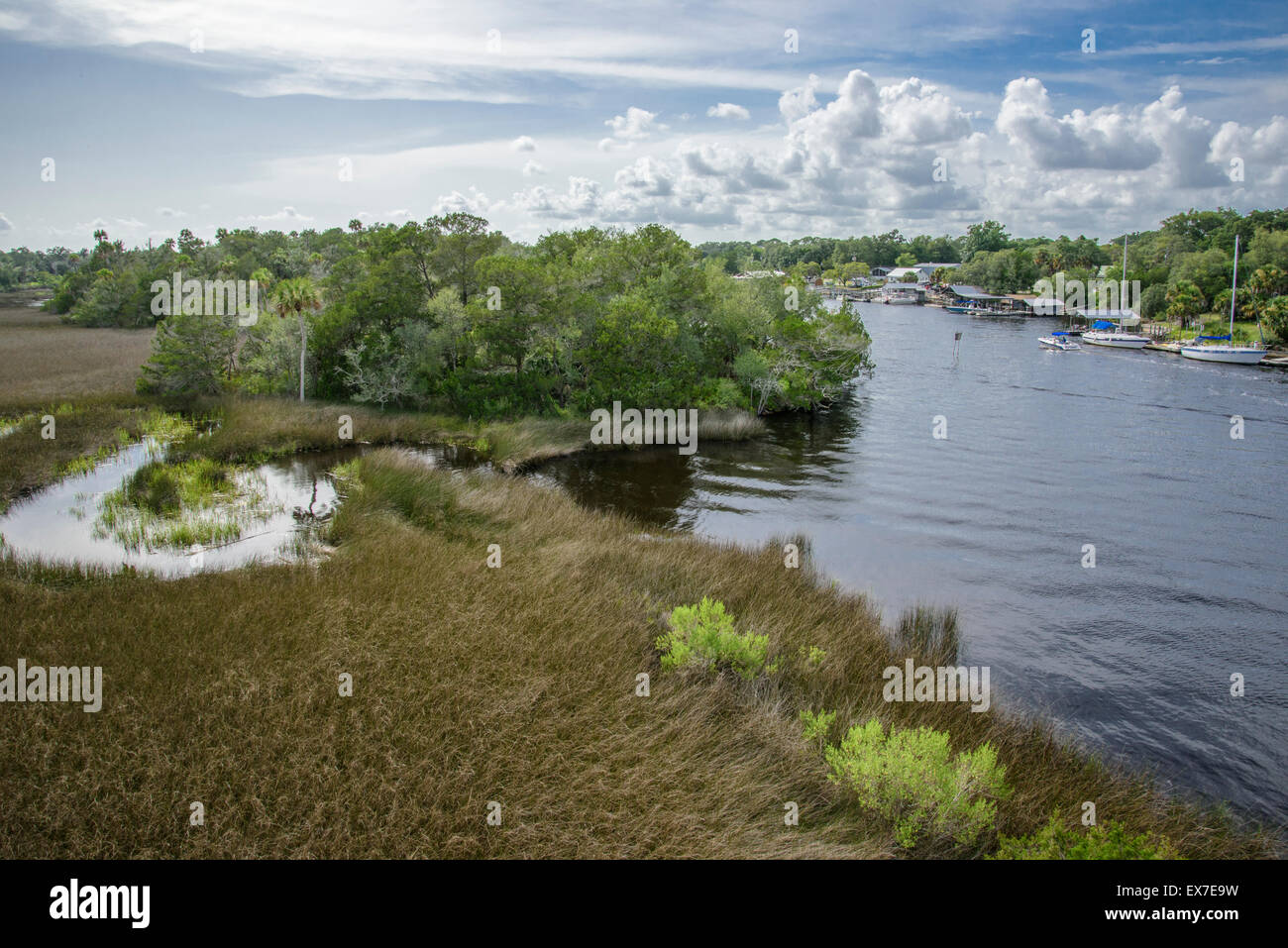 Steinhatchee River in der Nähe von Golf der Mexica, Florida Stockfoto