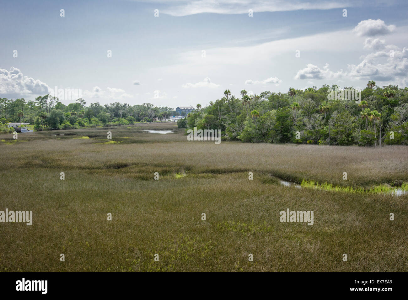 Eigentumswohnungen auf Steinhatchee River Golf der Mexica, Florida, USA Stockfoto