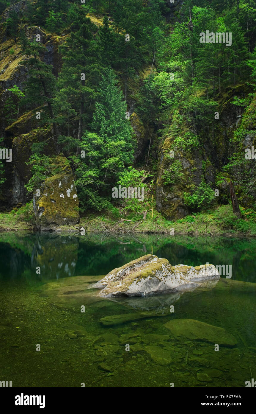 Skagit River Gorge, Ross Lake National Recreation Area, North-Cascades-Washington Stockfoto