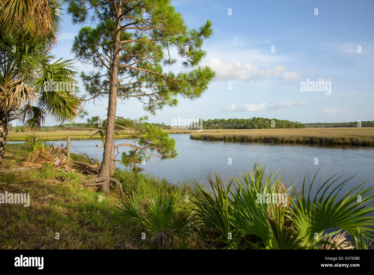 Fish Creek, Big Bend Seegraswiesen Aquatic Preserve, Florida Stockfoto