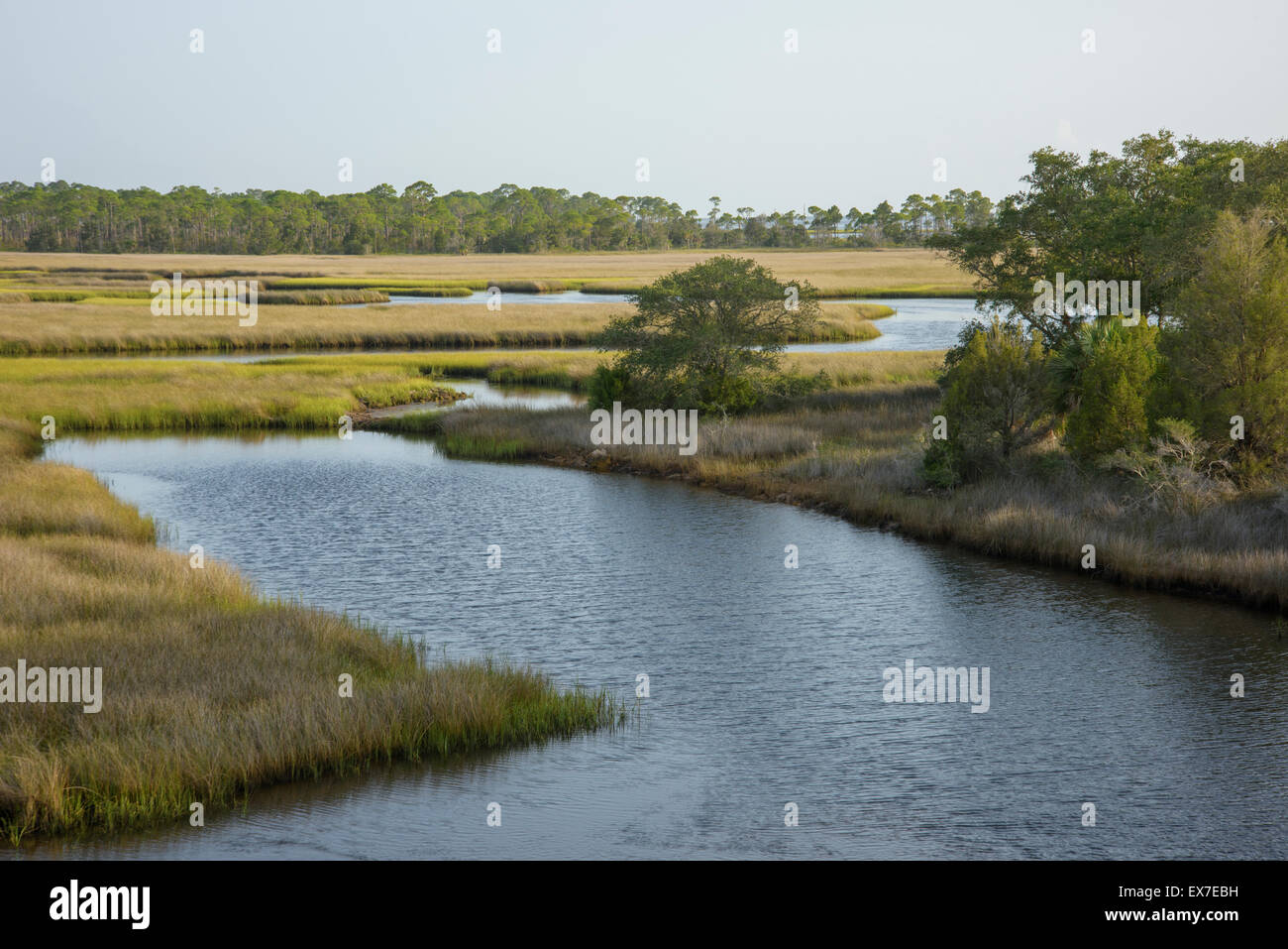 Salz-Sumpf Futter Fish Creek, Big Bend Seegraswiesen aquatische bewahren, Florida Stockfoto