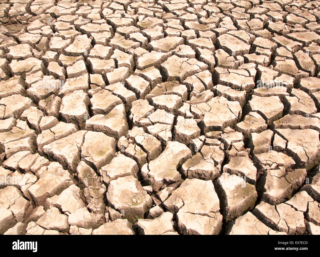 Trockene, rissige Erde Dürre, Hungersnot, natürliche heiße Wetter. Stockfoto