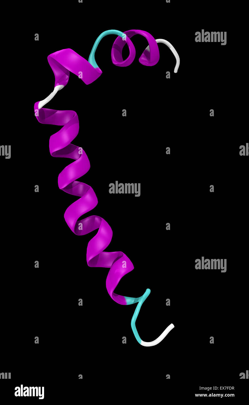 Amyloid-Beta-Peptide, die die Hauptkomponente von Amyloid-Plaques sind in den Gehirnen von Alzheimer-Patienten gefunden. Stockfoto