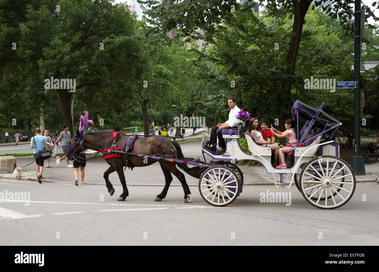 Junge Passagiere auf Pferd und Kutsche fahren im Central Park New York USA Selfie Foto Stockfoto