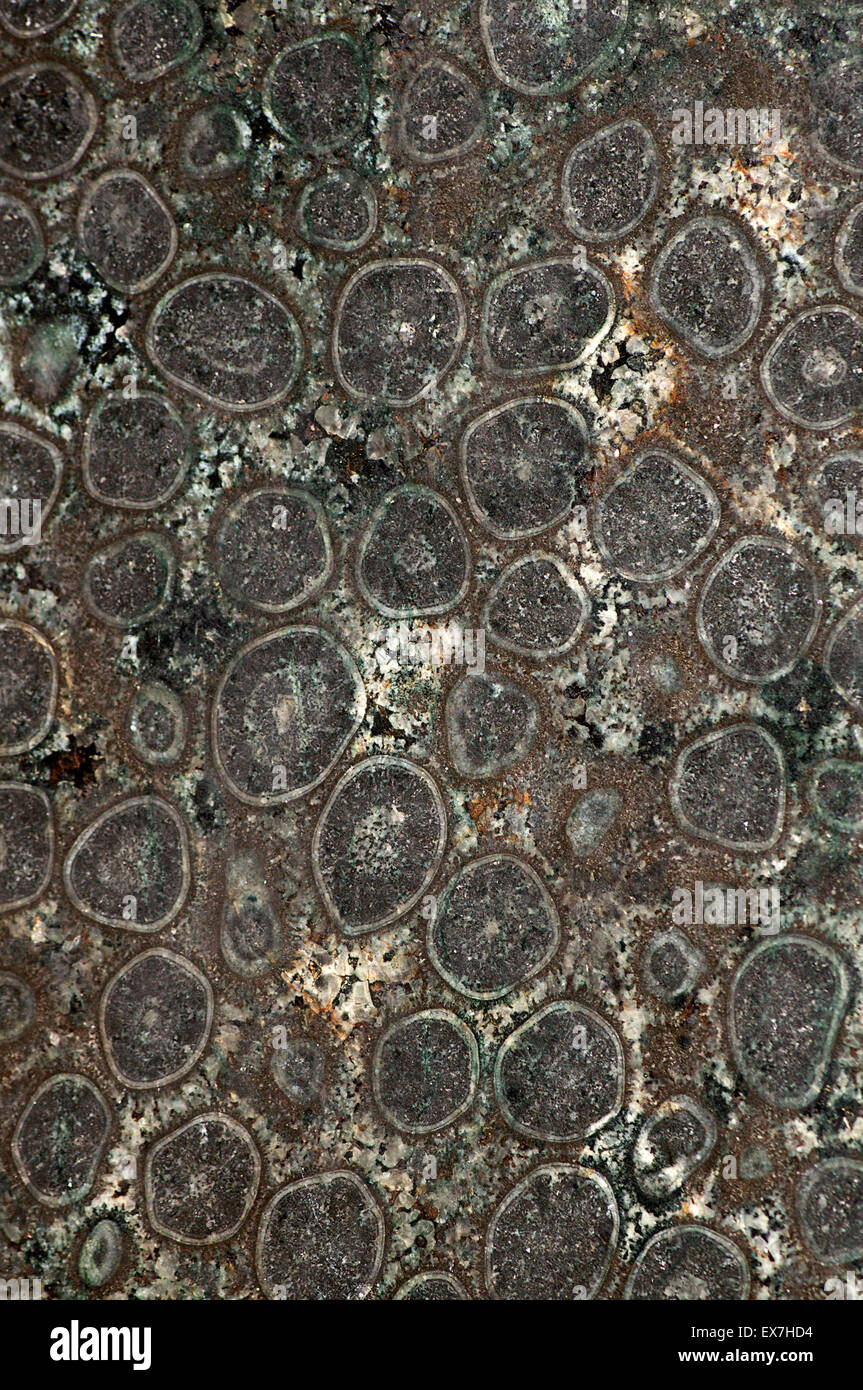 Kugelförmige Gabbro, ein magmatisches Tiefengestein aus der frühen Kreidezeit. Stockfoto