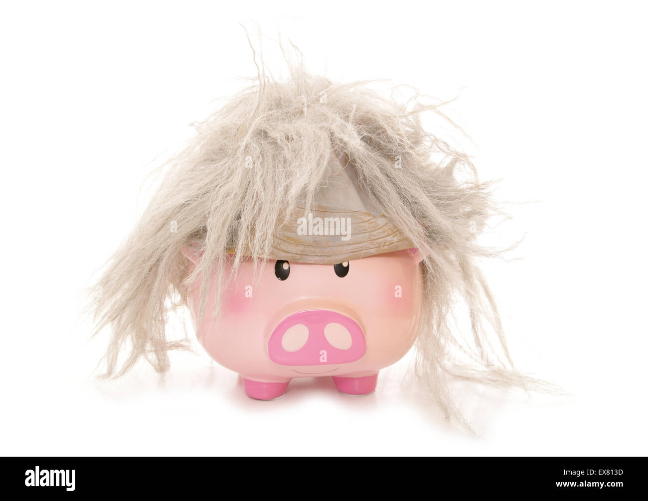 Sparschwein tragen einen Beetlejuice Perücke Ausschnitt Stockfoto