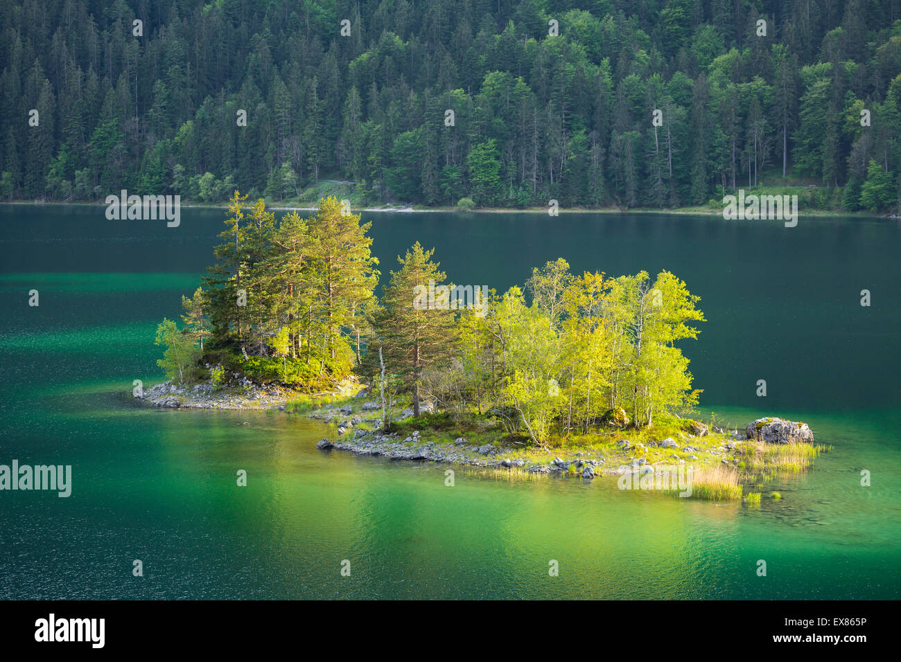 Kleinen Insel im See Eibsee, Wetterstein, Grainau, Bayern, Deutschland Stockfoto