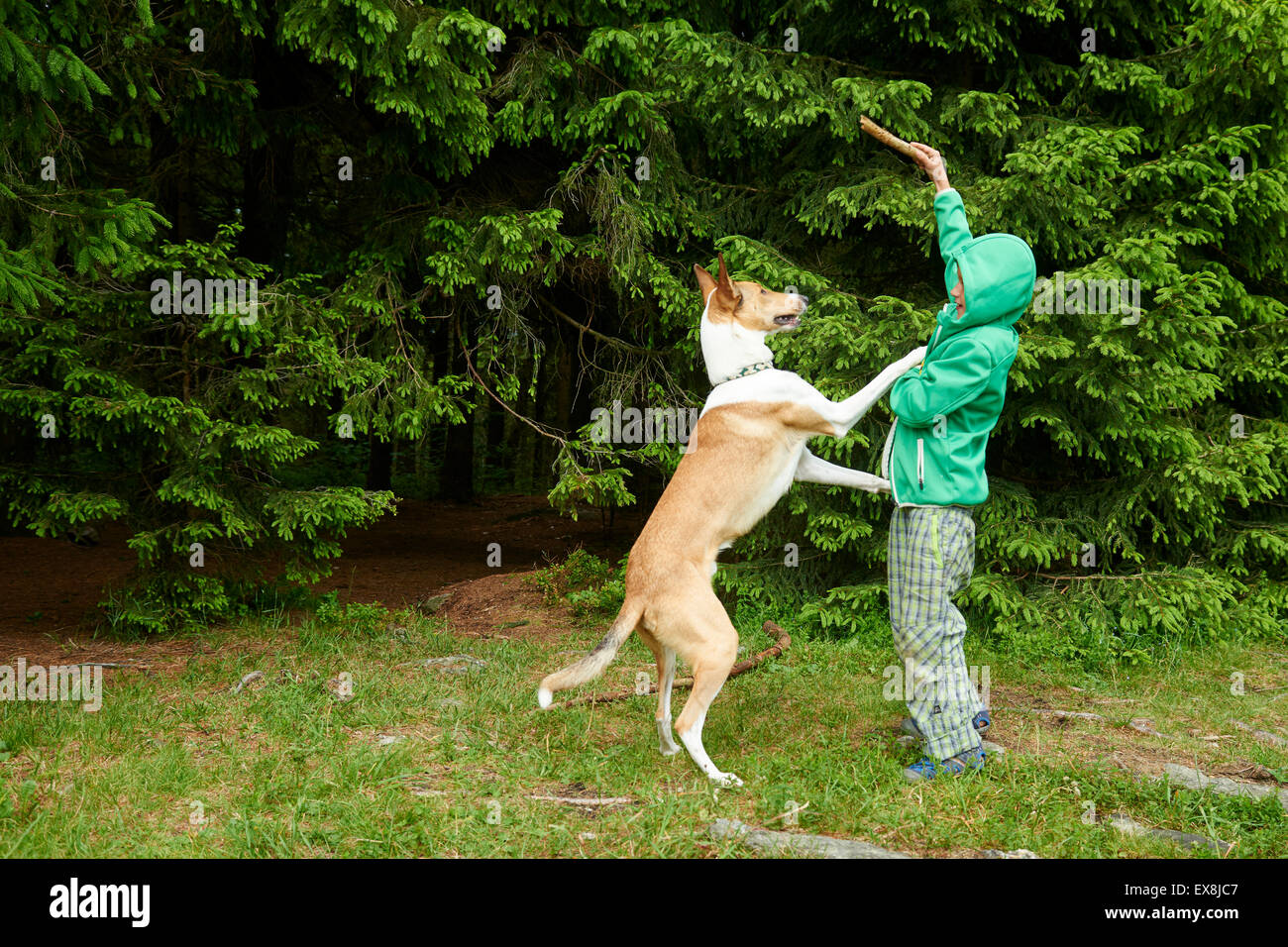 Kleiner Junge im Freien spielen und werfen Stick für den Hund im Wald Stockfoto