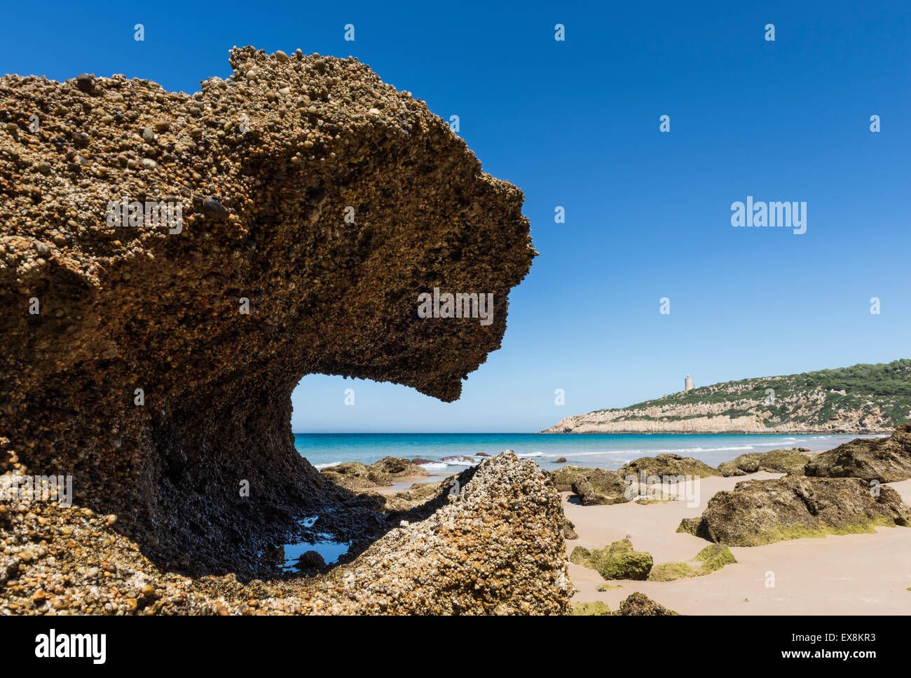 Punta Carnero, Tarifa, Costa De La Luz, Cádiz, Andalusien, Spanien. Stockfoto