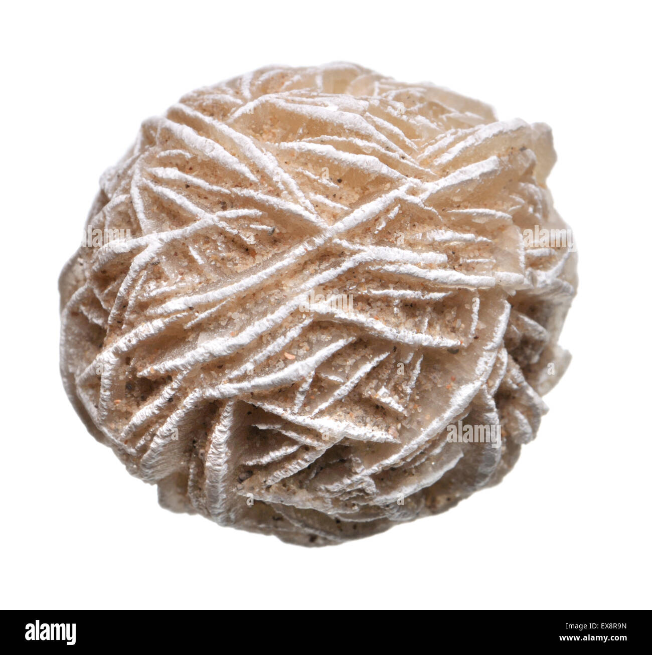 Desert Rose - Baryte (Bariumsulfat) Stockfoto