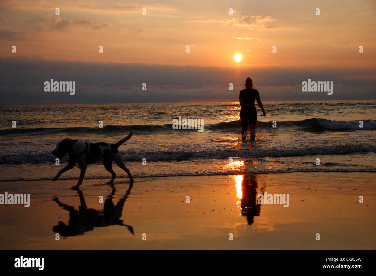 Frau mit Hund, Sonnenuntergang, Sylt. Stockfoto