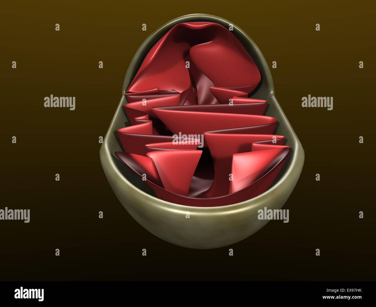 3D Illustration ein mitochondrium Stockfoto