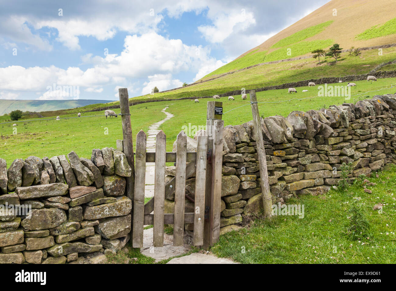 Hölzerne Tor in eine Mauer aus Stein und gepflasterter Weg durch ein Feld auf der Pennine Way, Vale von Alfreton, Derbyshire, Peak District National Park, England, Großbritannien Stockfoto