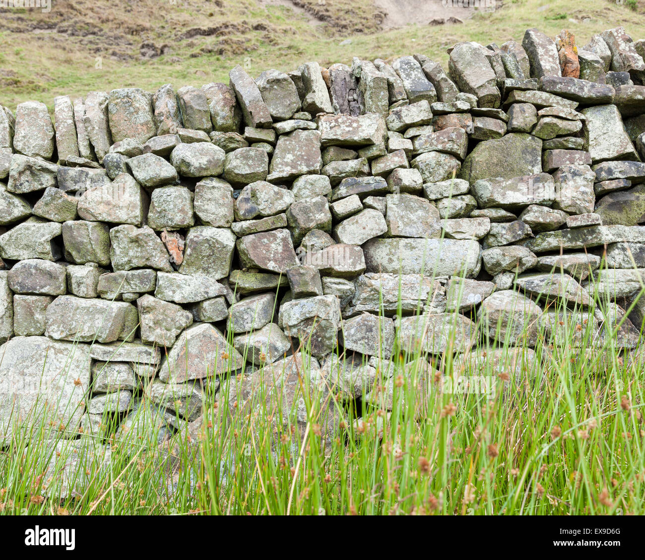 Trockenen Steinmauer typisch für solche in Derbyshire und der Peak District, England, UK Stockfoto
